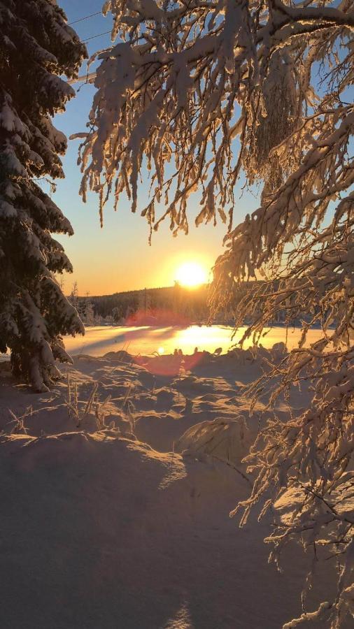 Вілла Loma-Laattaja Hyrynsalmi Екстер'єр фото